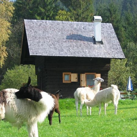 Huette Zum Verlieben Gurk Exteriér fotografie