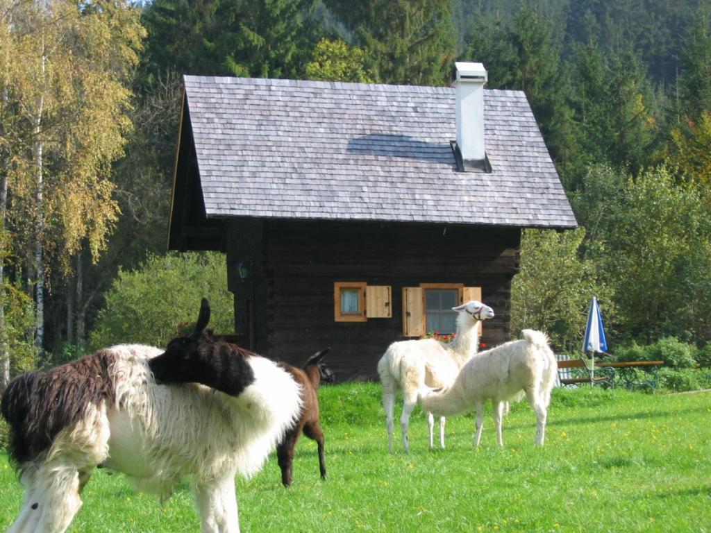 Huette Zum Verlieben Gurk Exteriér fotografie