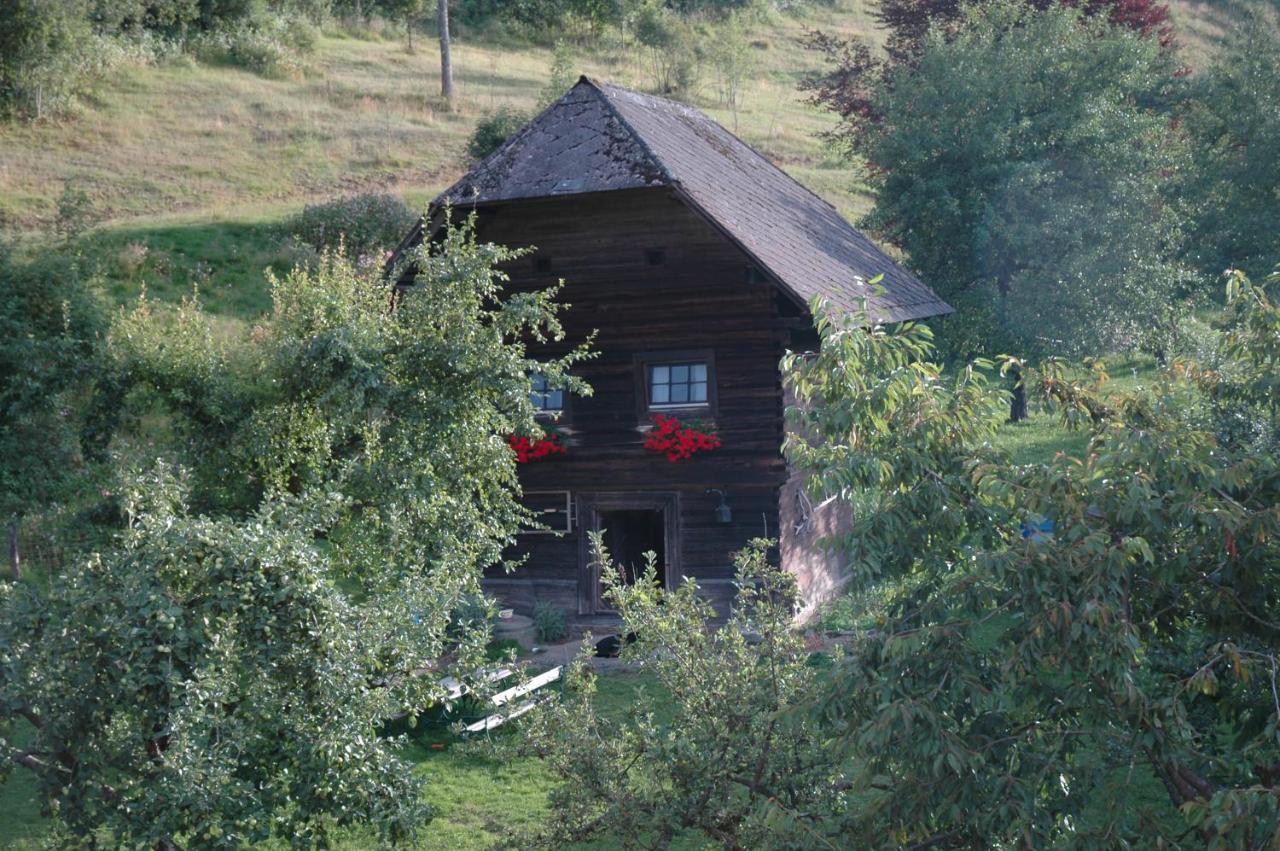 Huette Zum Verlieben Gurk Exteriér fotografie