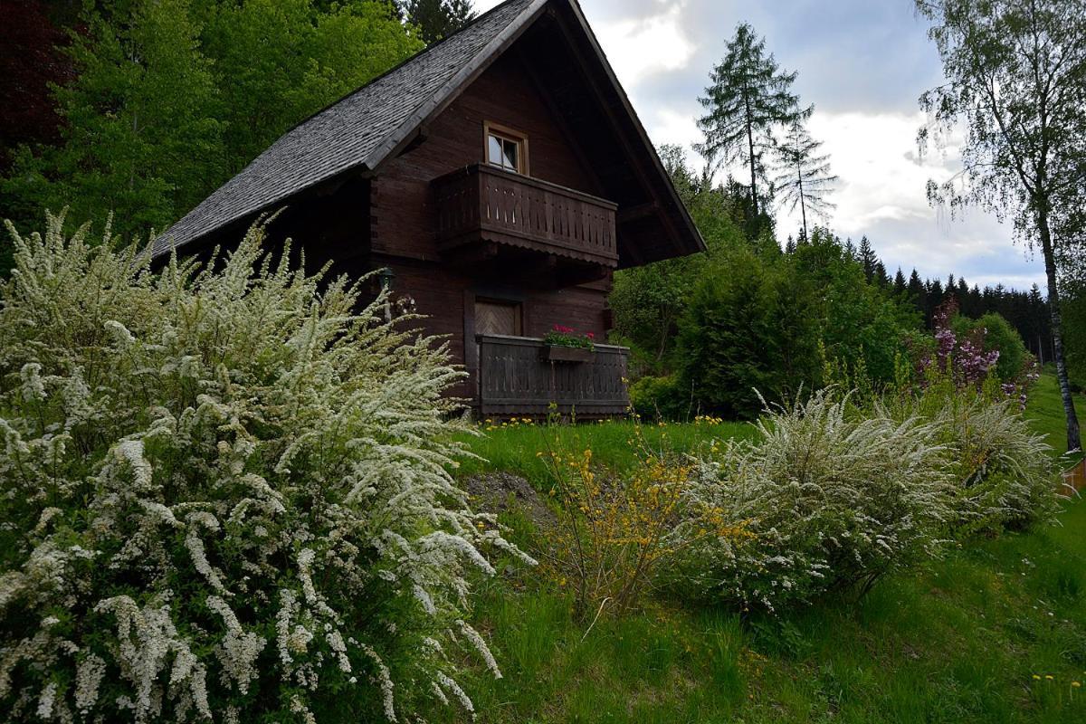 Huette Zum Verlieben Gurk Exteriér fotografie