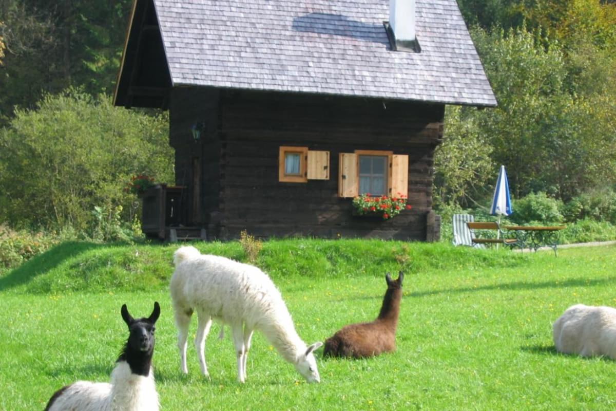 Huette Zum Verlieben Gurk Exteriér fotografie